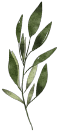 Rachamim Icon